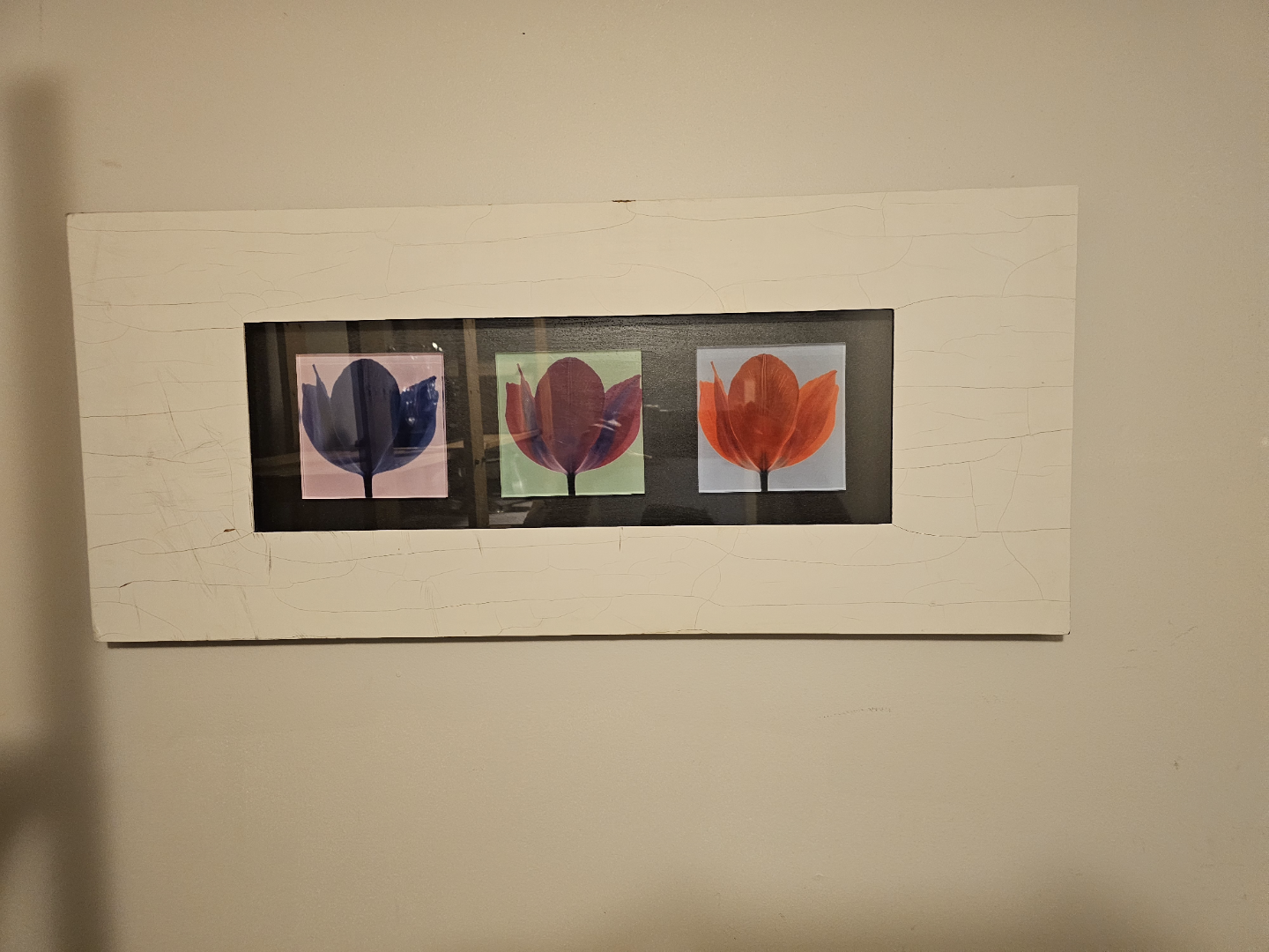 Triptych Framed Tulip Print
