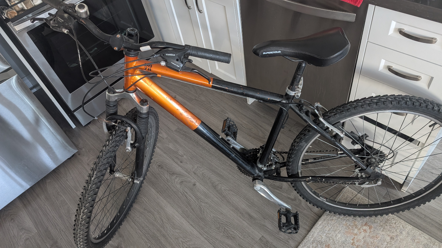 DiamondBack Mountain Bike