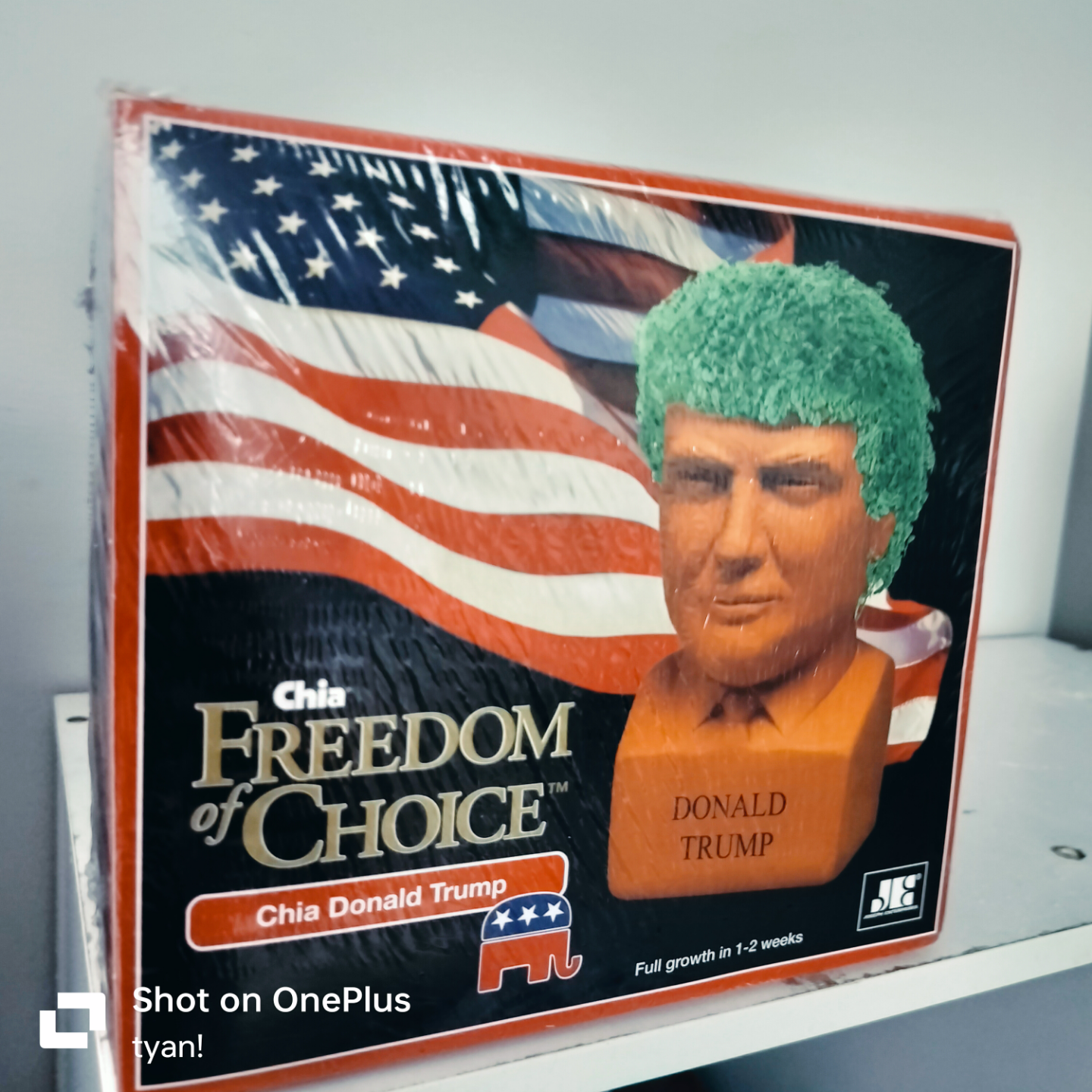 Chia Freedom of Choice Donald Trump Planter - New in Box