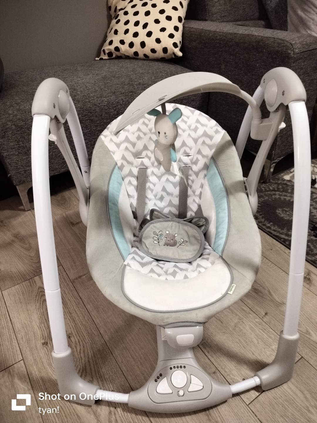 Ingenuity Baby Swing