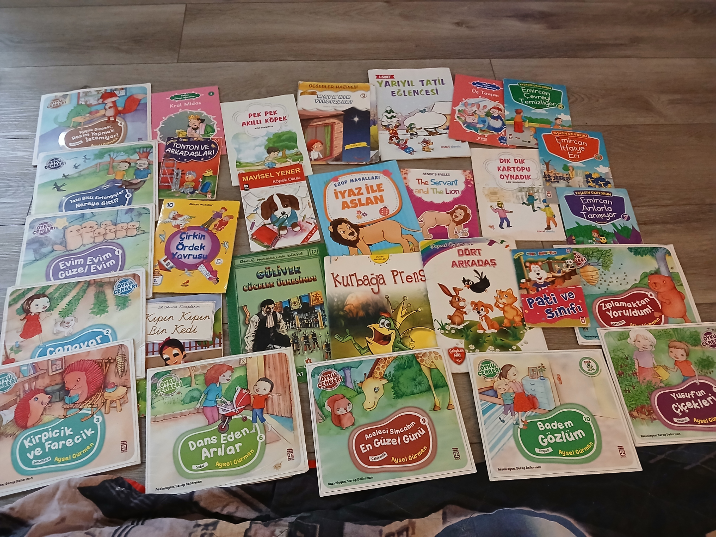 Collection of 30 Children's Books