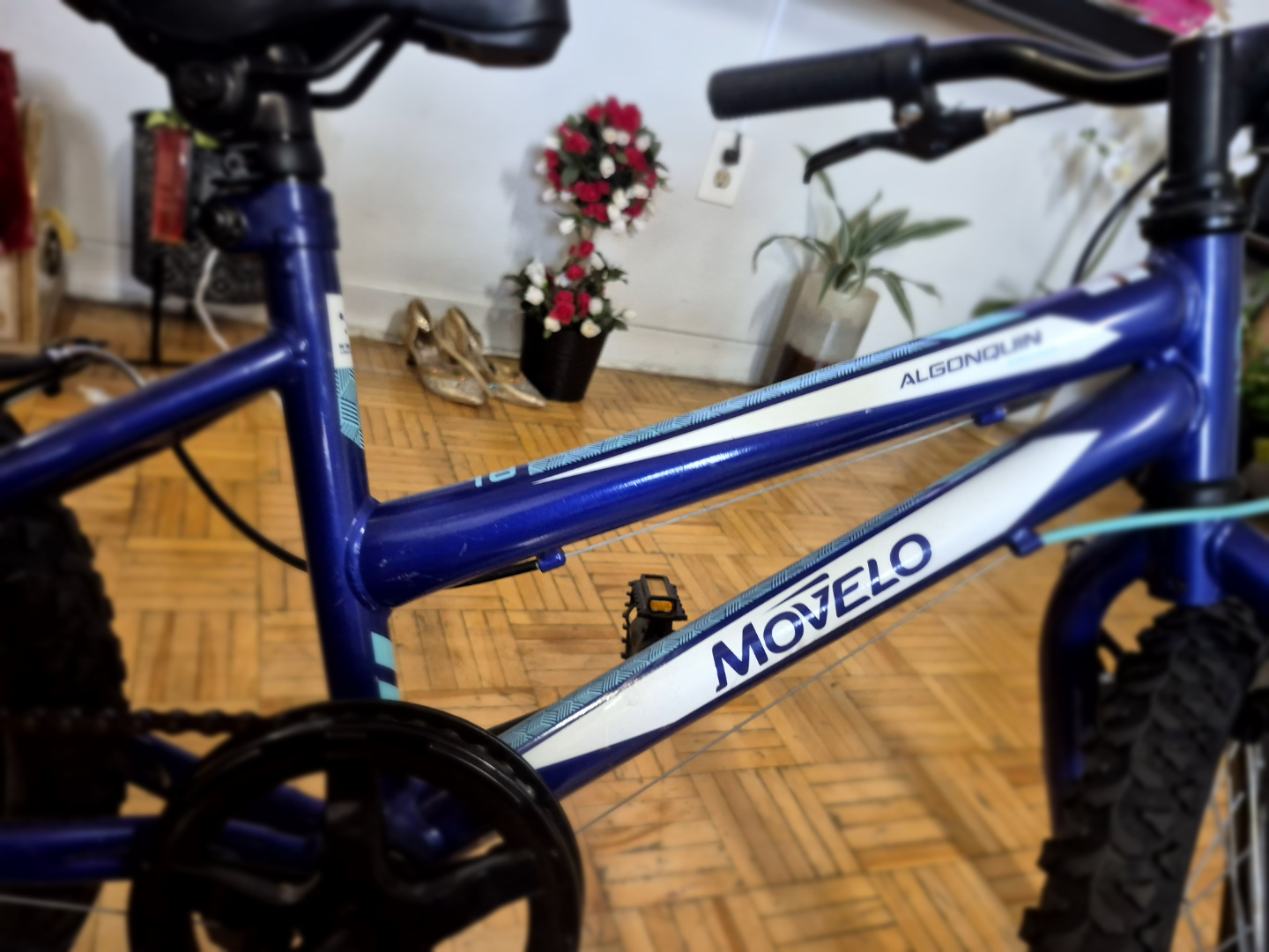 MoveLo Algonquin 18" Kids Bike - photo 5