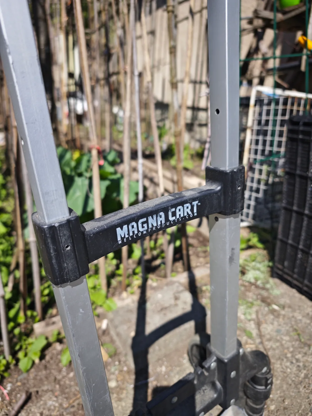 Magna Cart (FCFS!) image indicator(3)