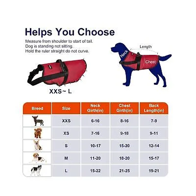 Red Dog Harness with Spikes - Size XSS image indicator(4)