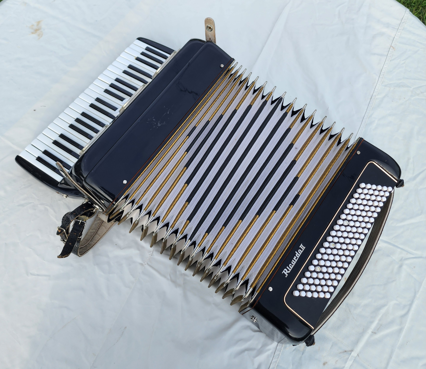 Ricardo II Accordeon - photo 4