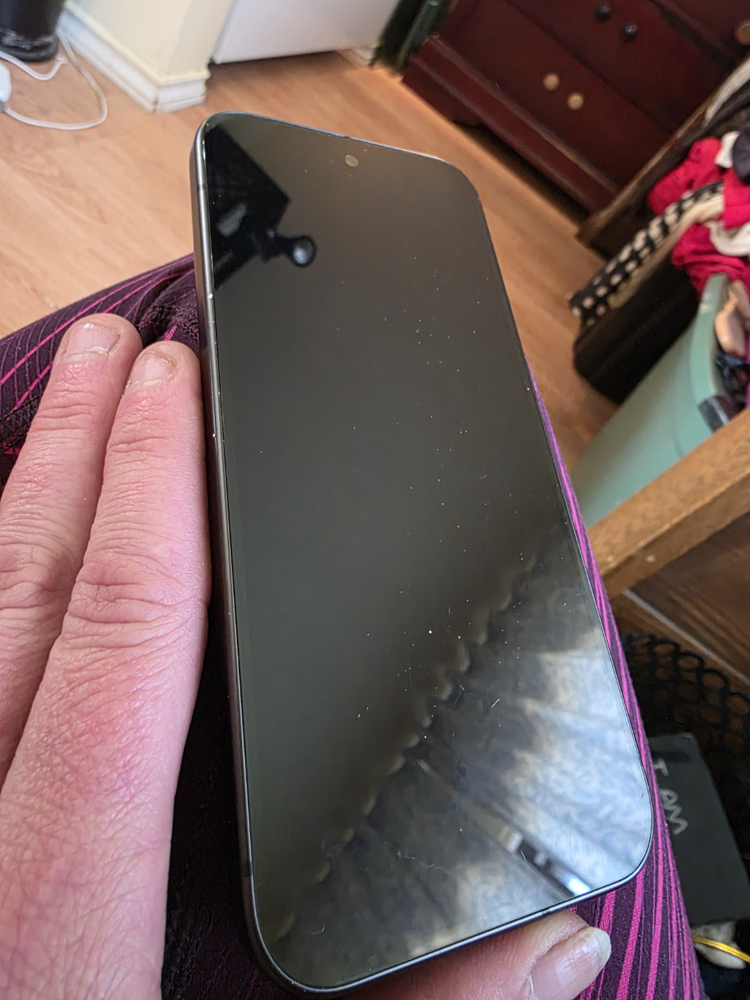 Google Pixel 9 Smartphone - photo 2
