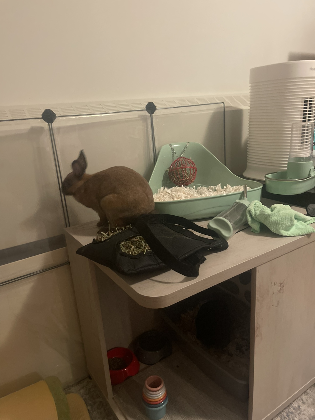 Pet Side Table - photo 4