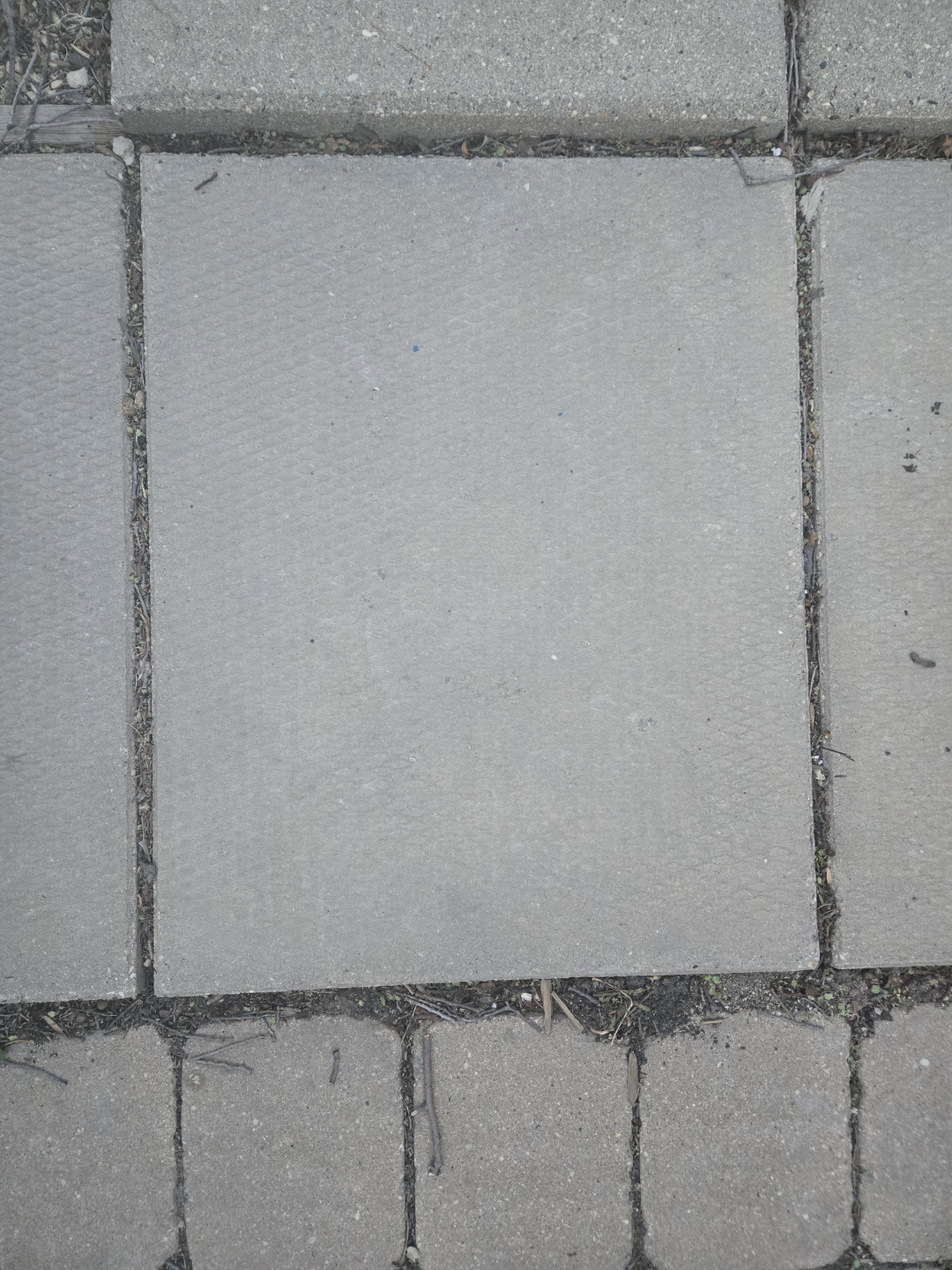 Grey Concrete Patio Stones - photo 2