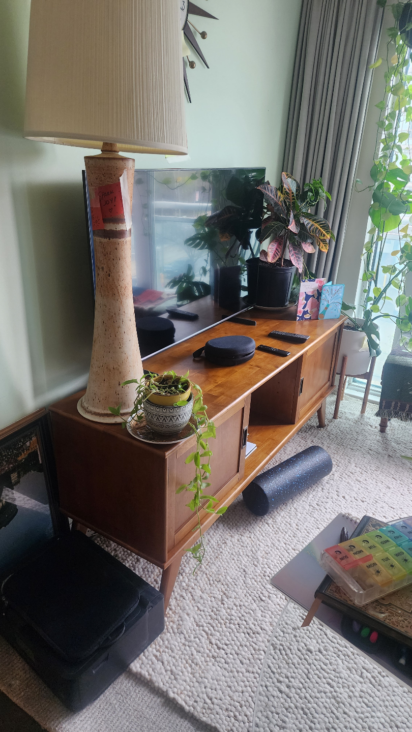 Mid-Century Modern TV Stand - photo 2