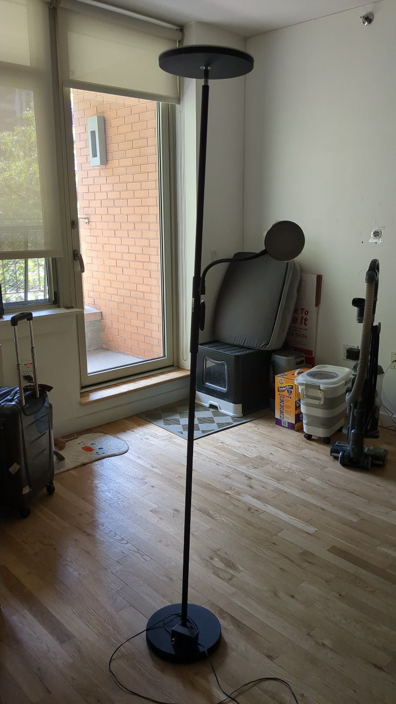 Modern Floor Lamp with Adjustable Head