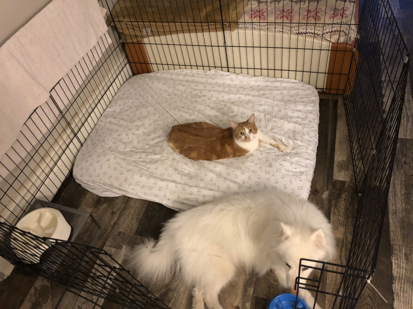 Black Metal  Foldable Pet Cage