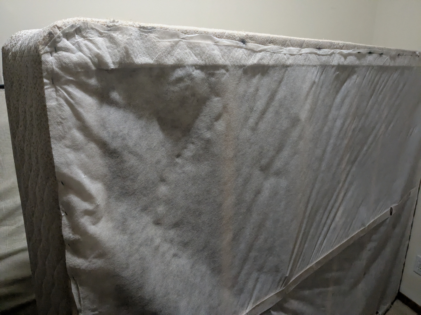 free queen spring box and headboard - photo 3