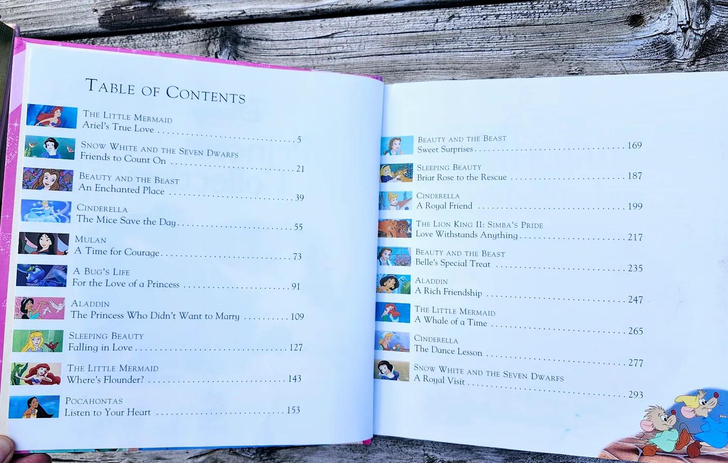 Disney Princess Collection of Stories with 300+ pages! image indicator(2)