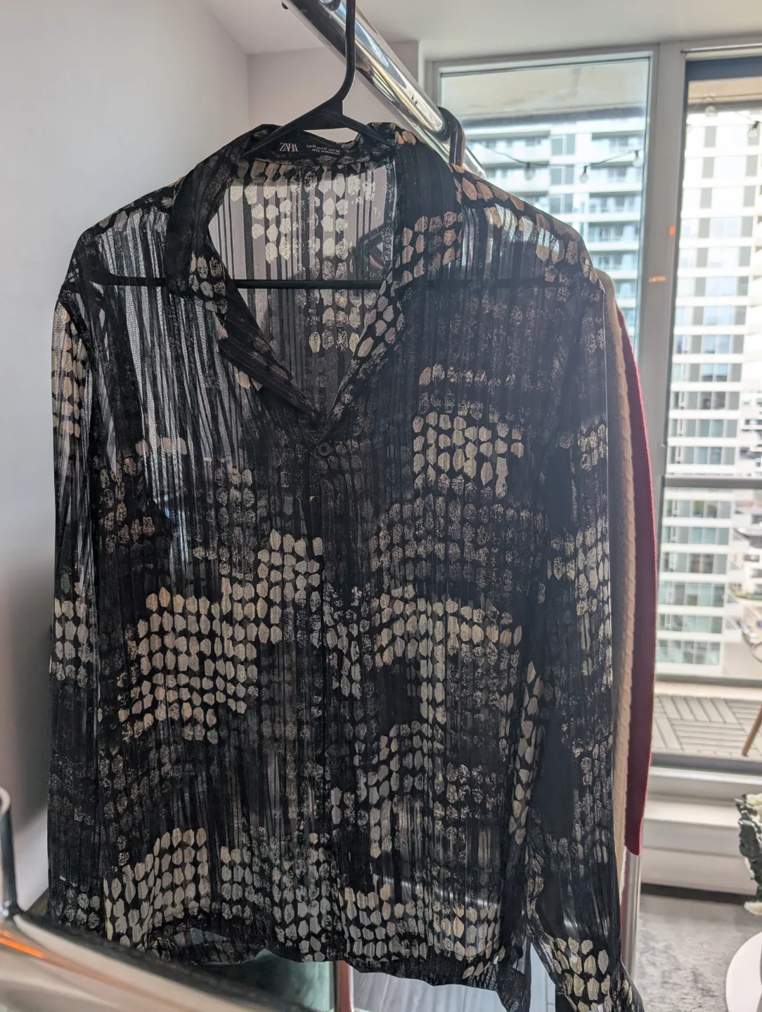 Zara Sheer Button-Down Blouse thumbnail