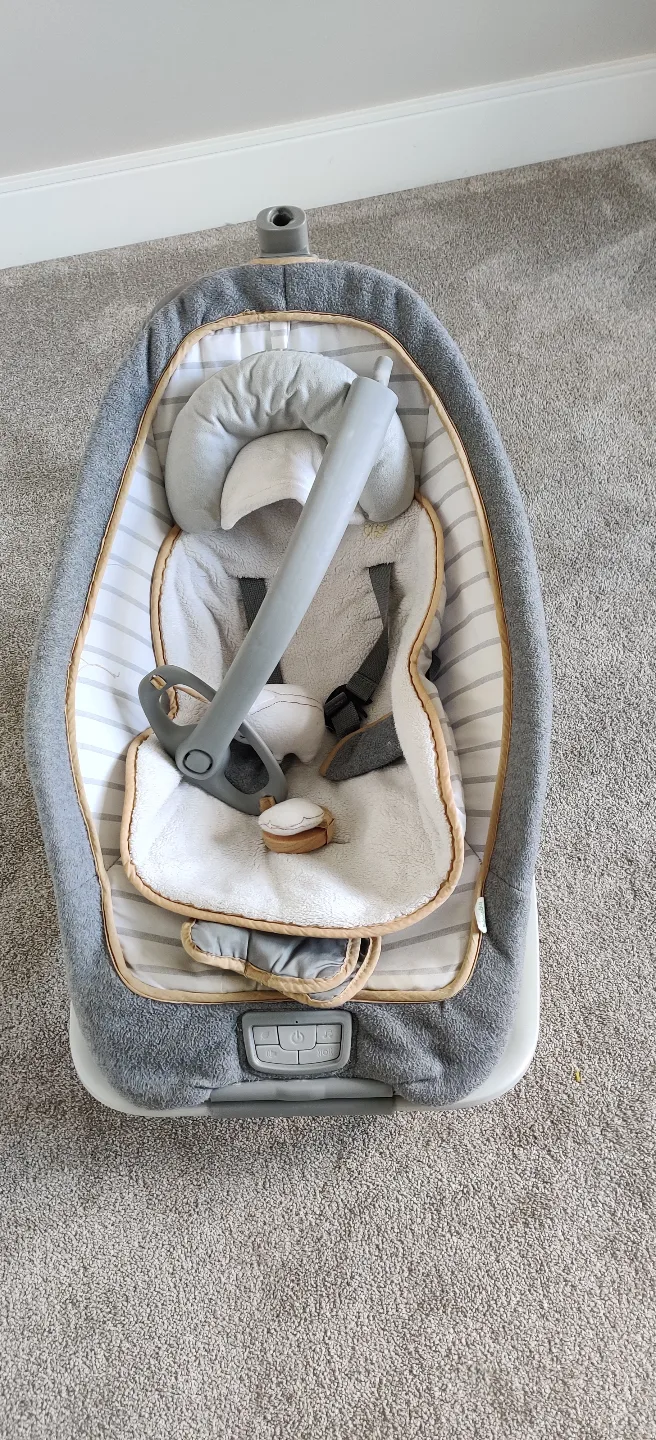 Ingenuity Baby Swing image indicator(3)