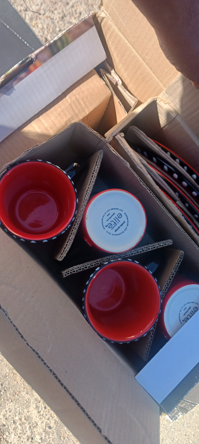 Elite Puebla Springs 16-Piece Dinnerware Set - 3 Boxes - photo 4