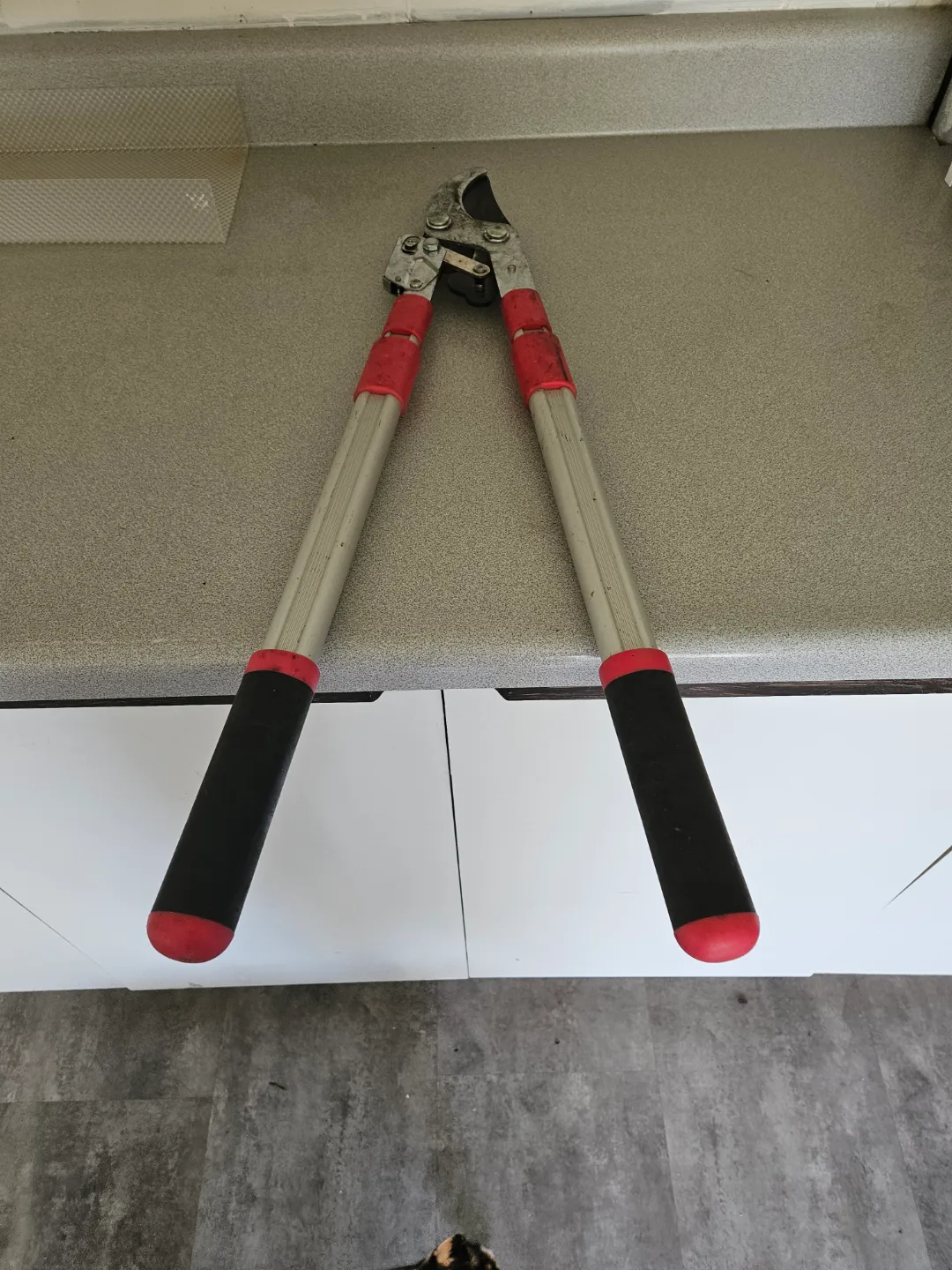 Long-handled Pruning Shears thumbnail