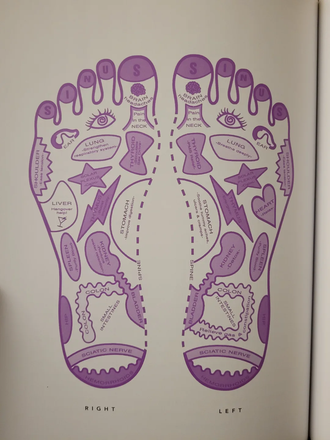 NEW Hands-on Baby Massage Book with Onesie image indicator(3)