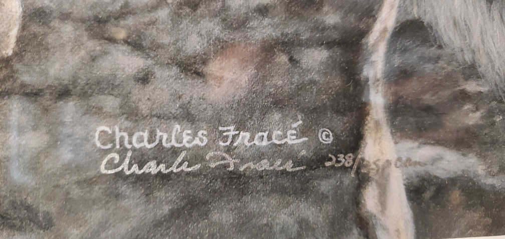 Framed Charles Fracé Snow Leopard Print - photo 4
