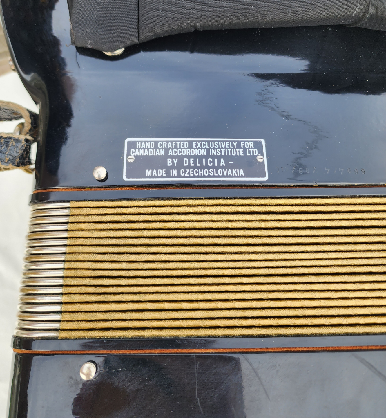 Ricardo II Accordeon - photo 5
