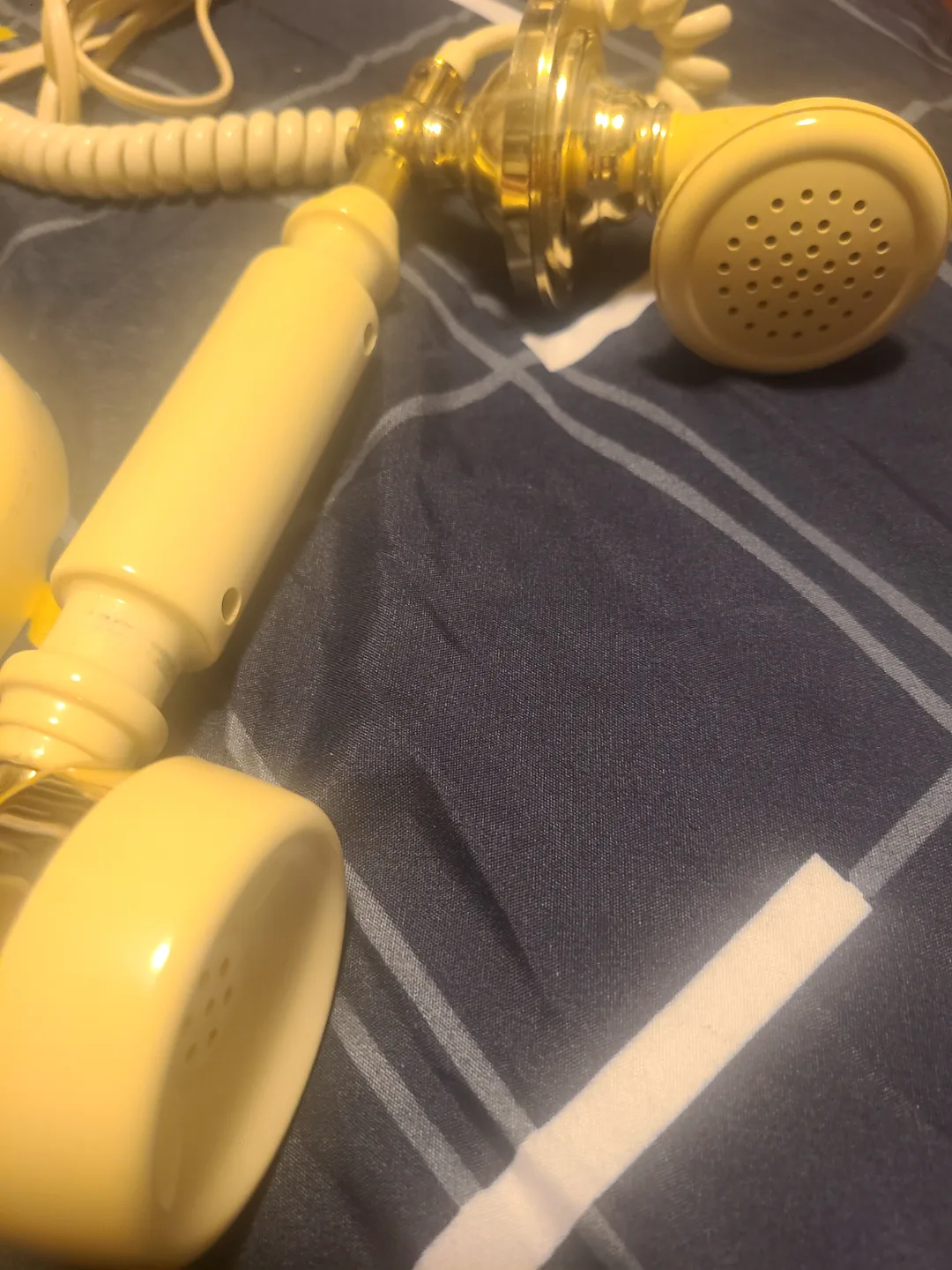 Vintage Rotary Telephone image indicator(8)