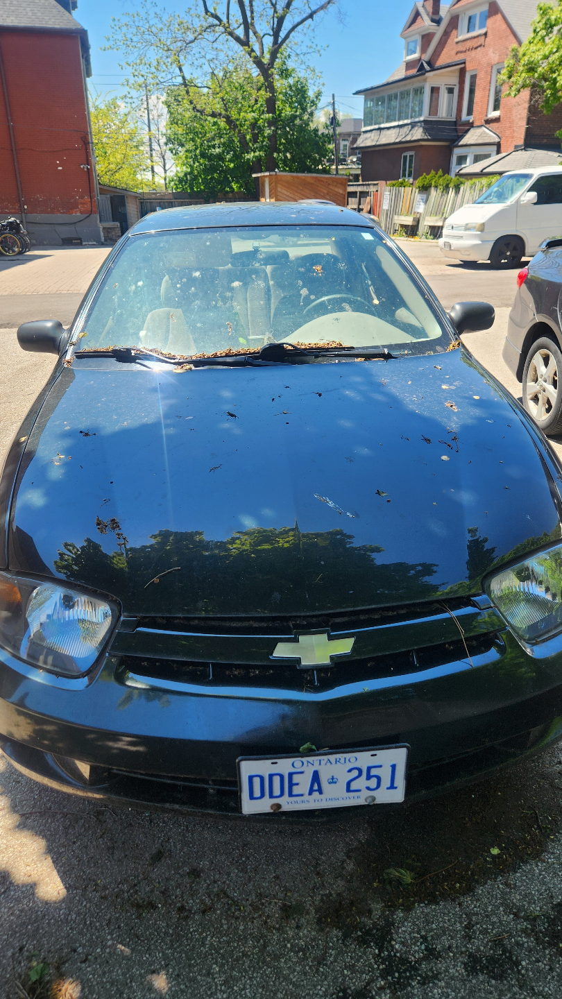 2003 Chevrolet Cavalier - photo 2