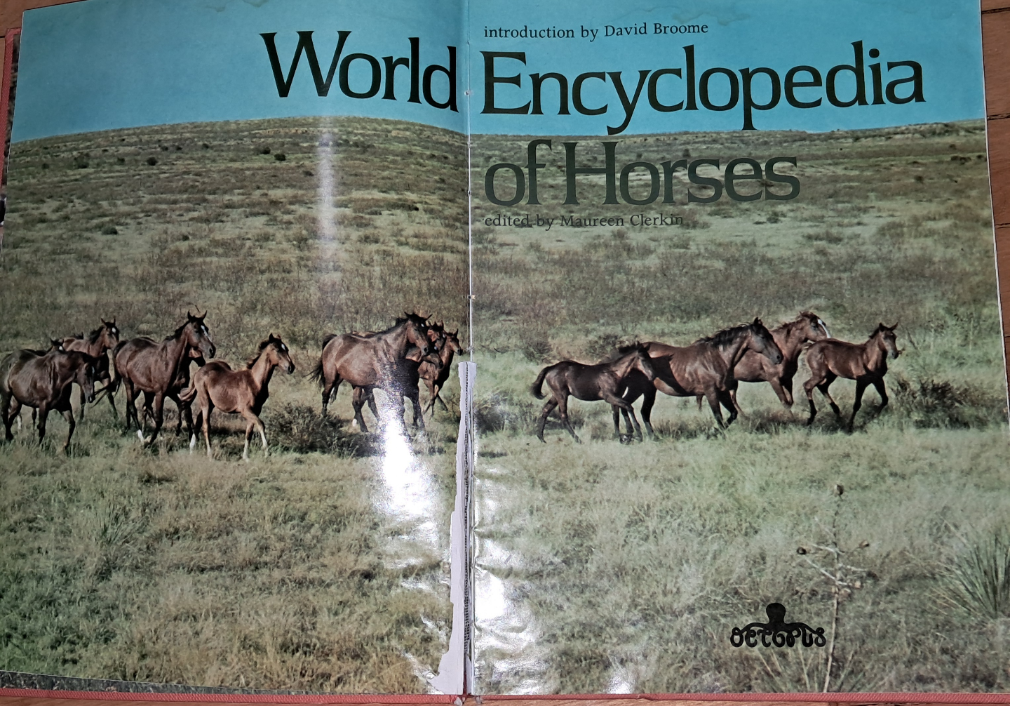 World Encyclopedia of Horses - photo 4