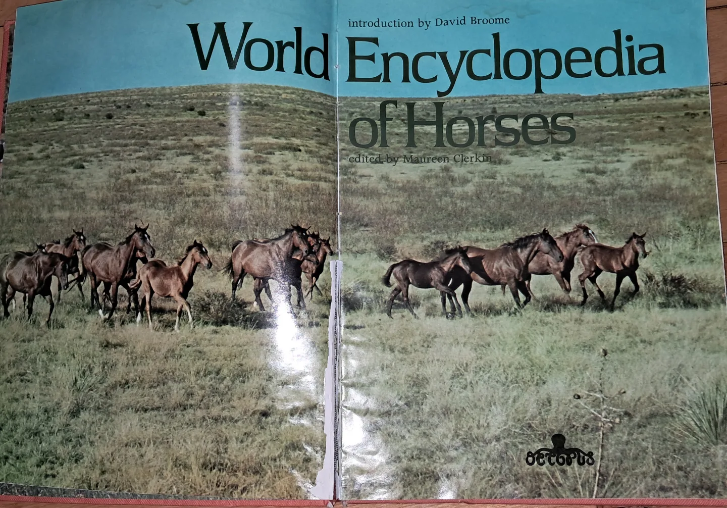 World Encyclopedia of Horses image indicator(4)