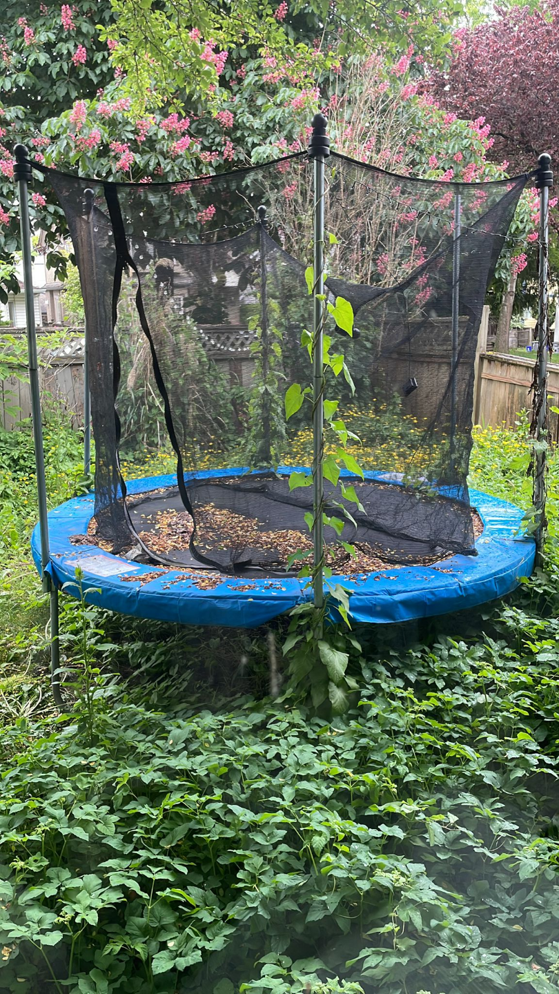 Used 8 foot Trampoline with Safety Net