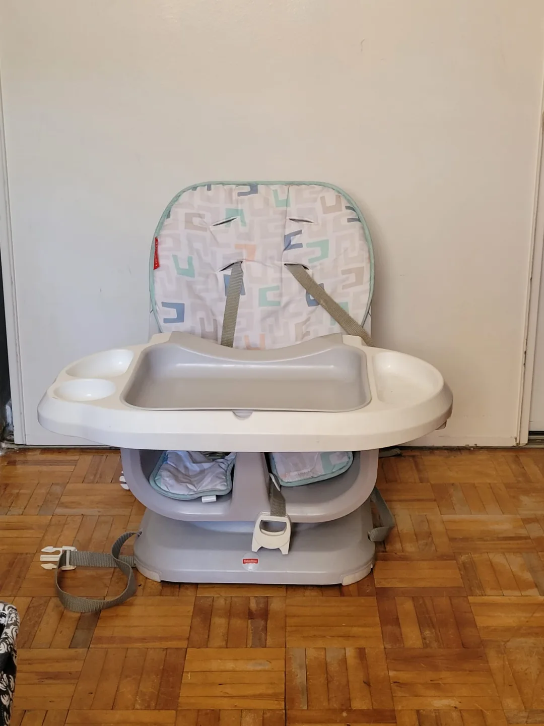 Fisher-Price SnugaRoos Deluxe Booster Seat thumbnail