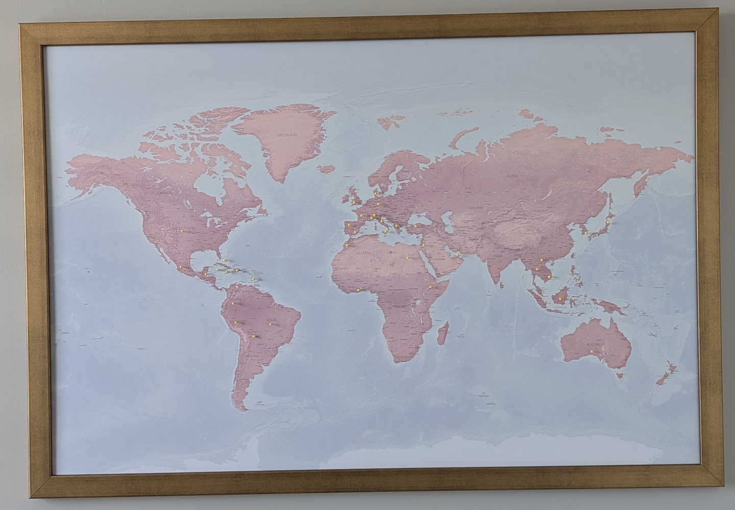 Framed World Map Push Pin Travel Tracker