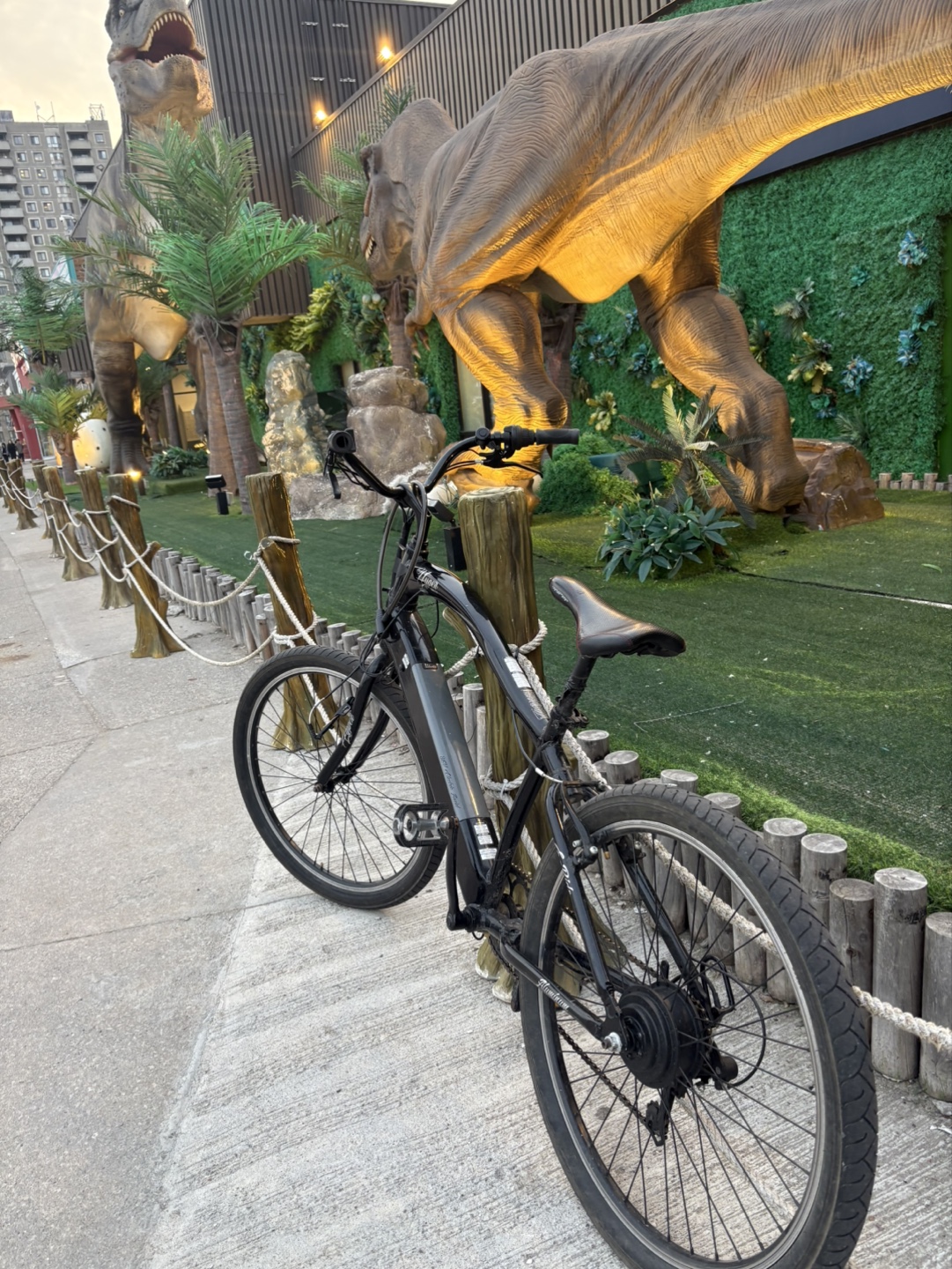 Electric Cruiser Bike