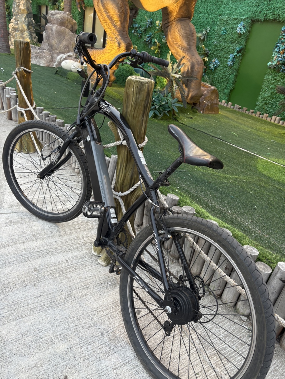 Electric Cruiser Bike - photo 2