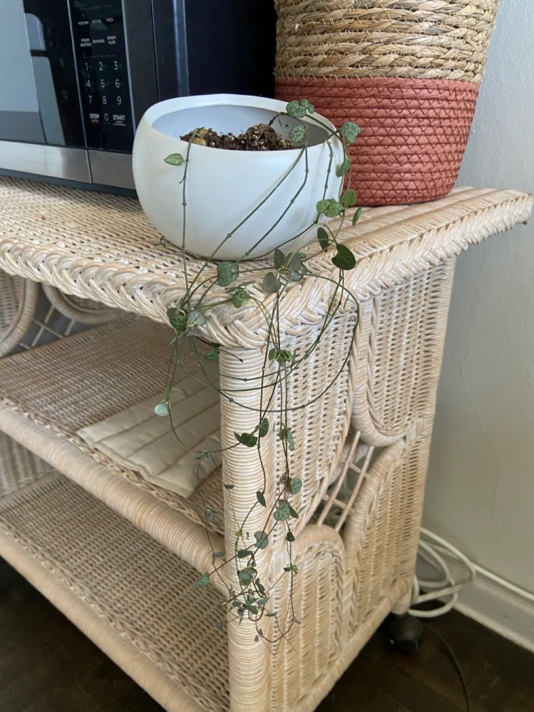 String of hearts and ceramic tilted moon pot thumbnail