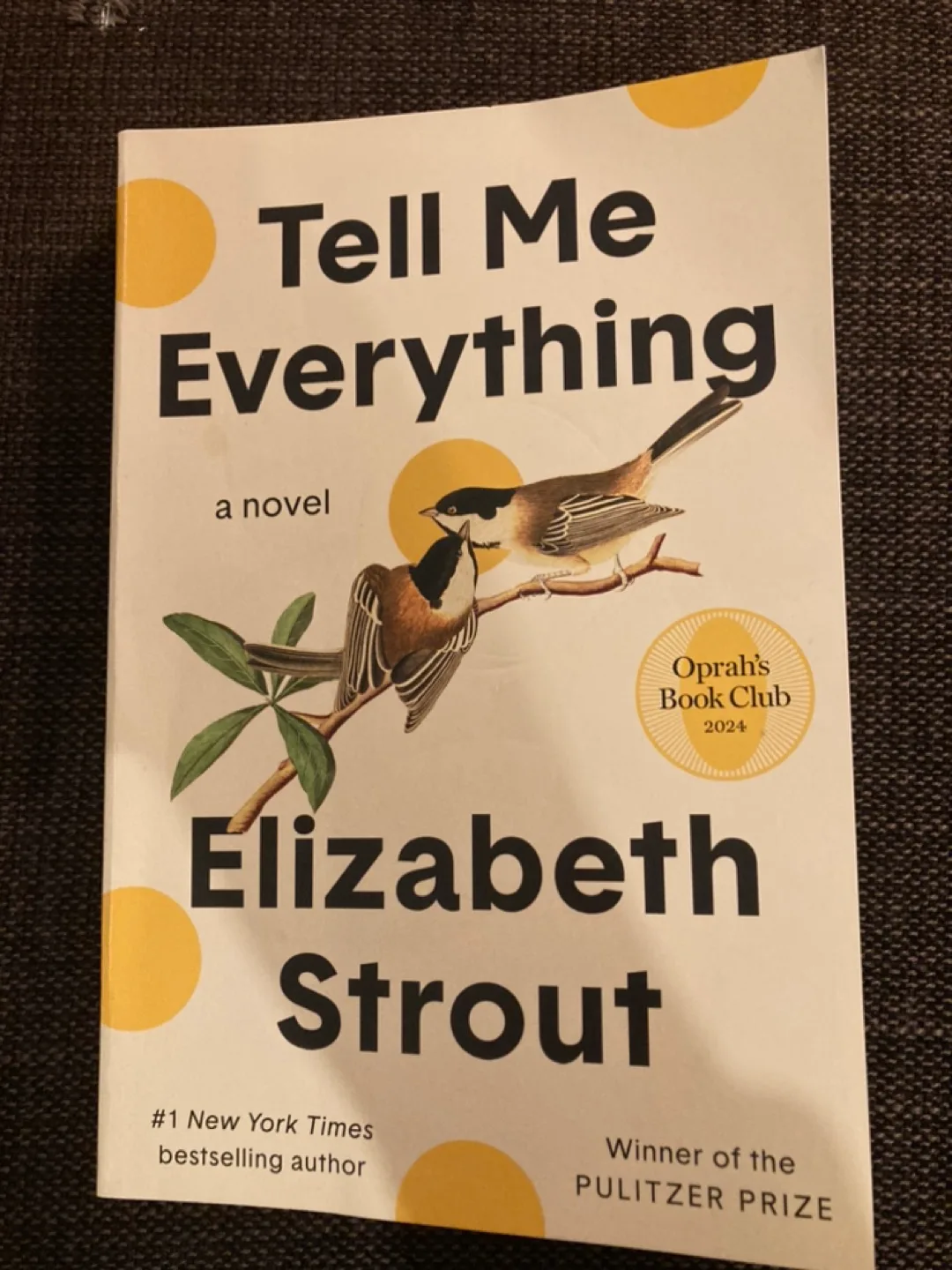 Tell Me Everything Novel by Elizabeth Strout thumbnail