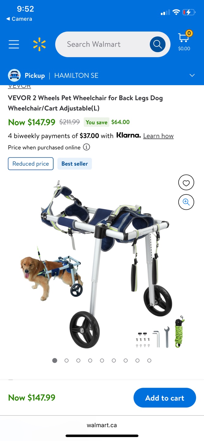 2 Wheels Pet Wheelchair (L)