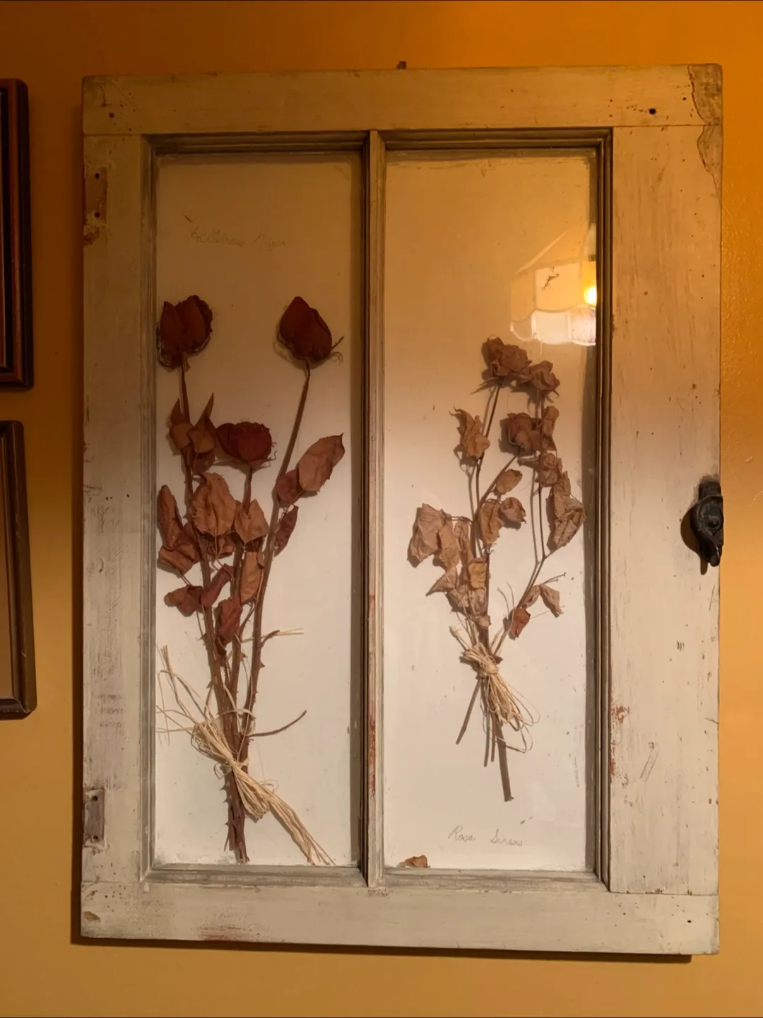 Rustic Windowpane Pressed Flower Art thumbnail