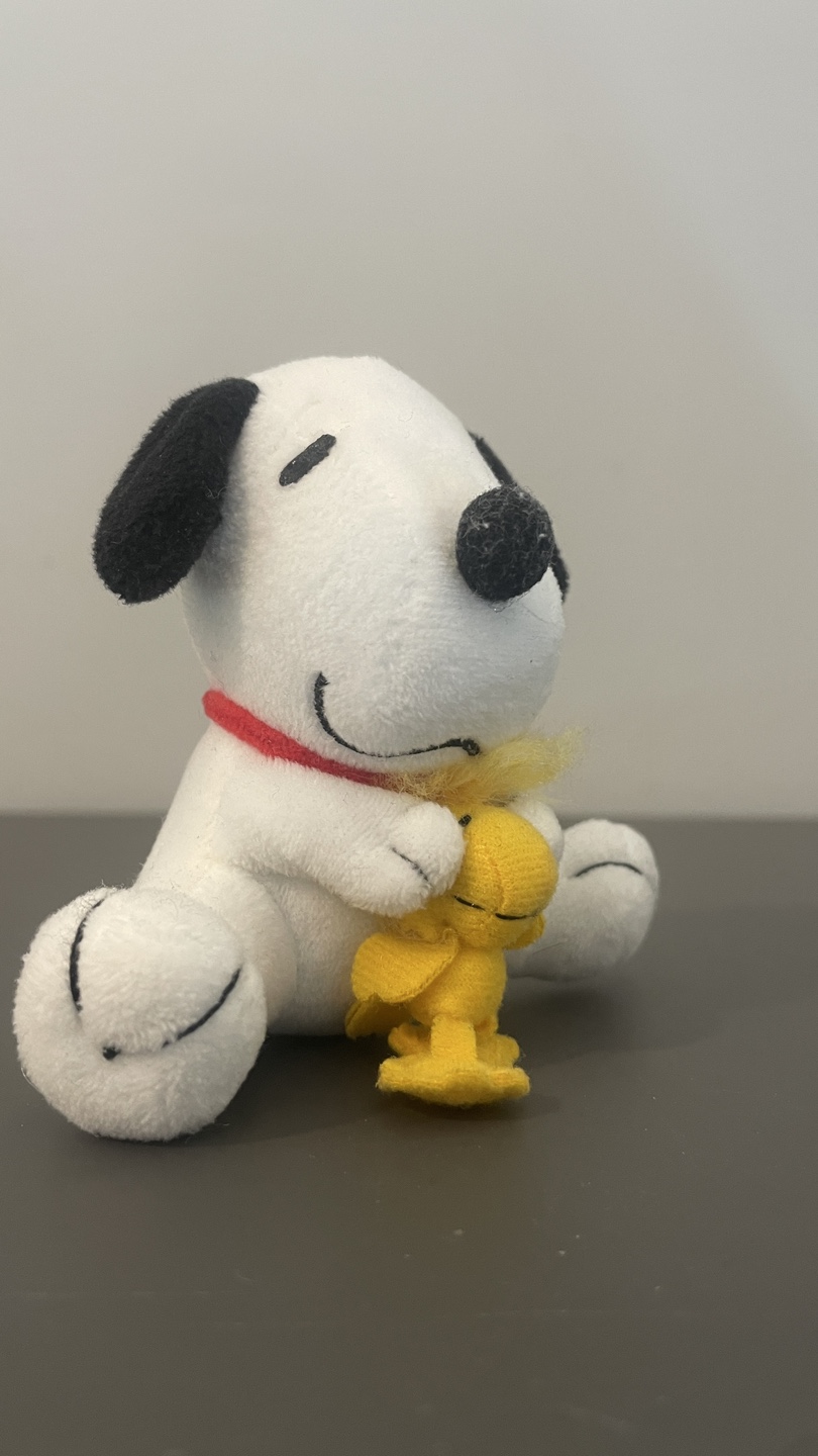 Snoopy and Woodstock Plush Keychain