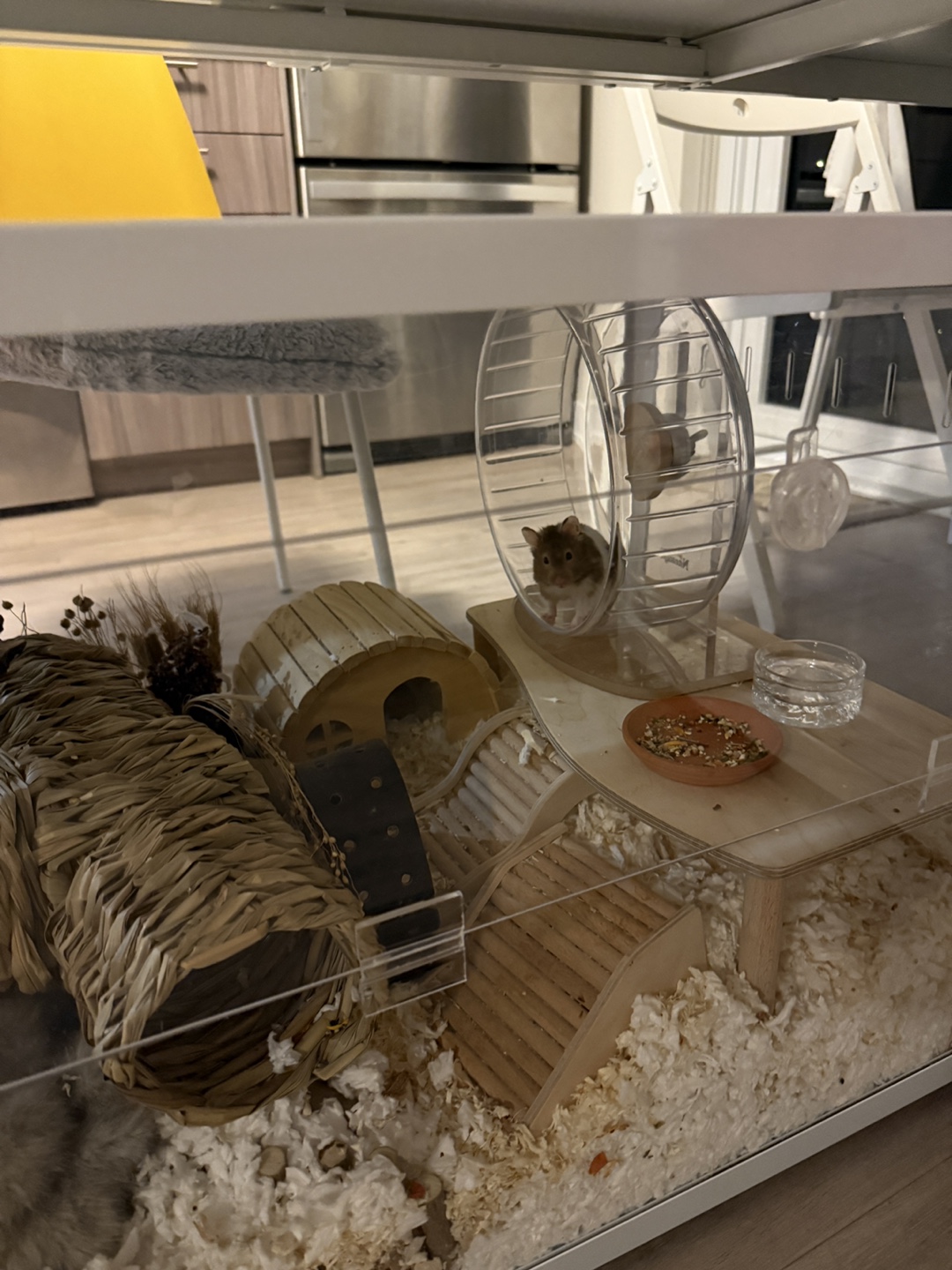 Large Hamster Cage - White - photo 5