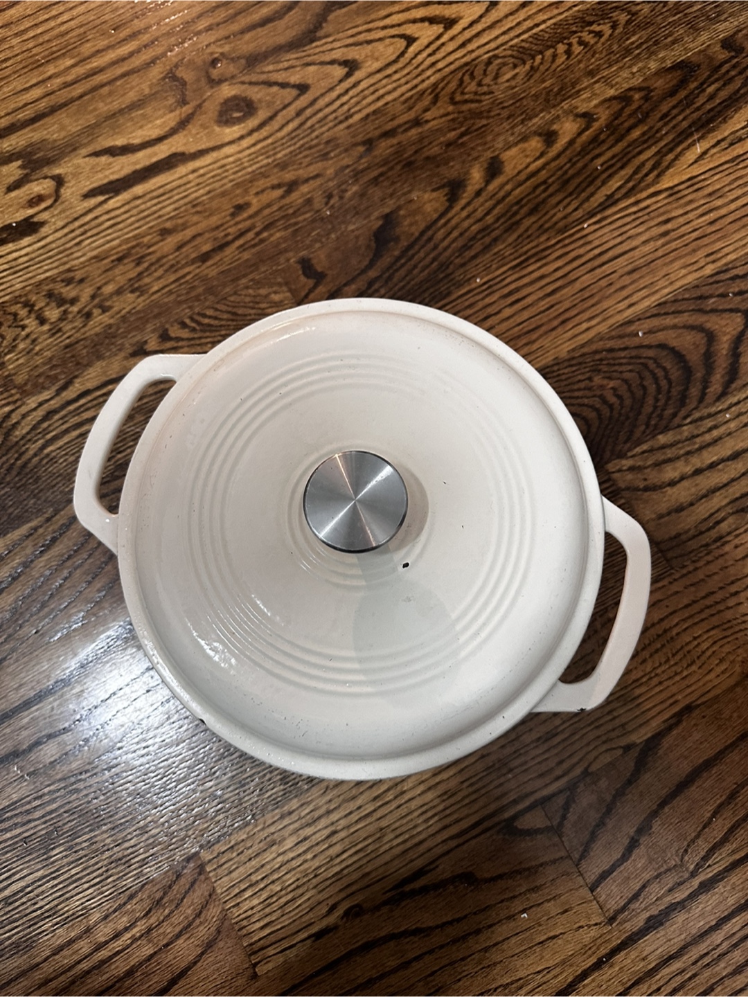 White Enamel Cast Iron Dutch Oven