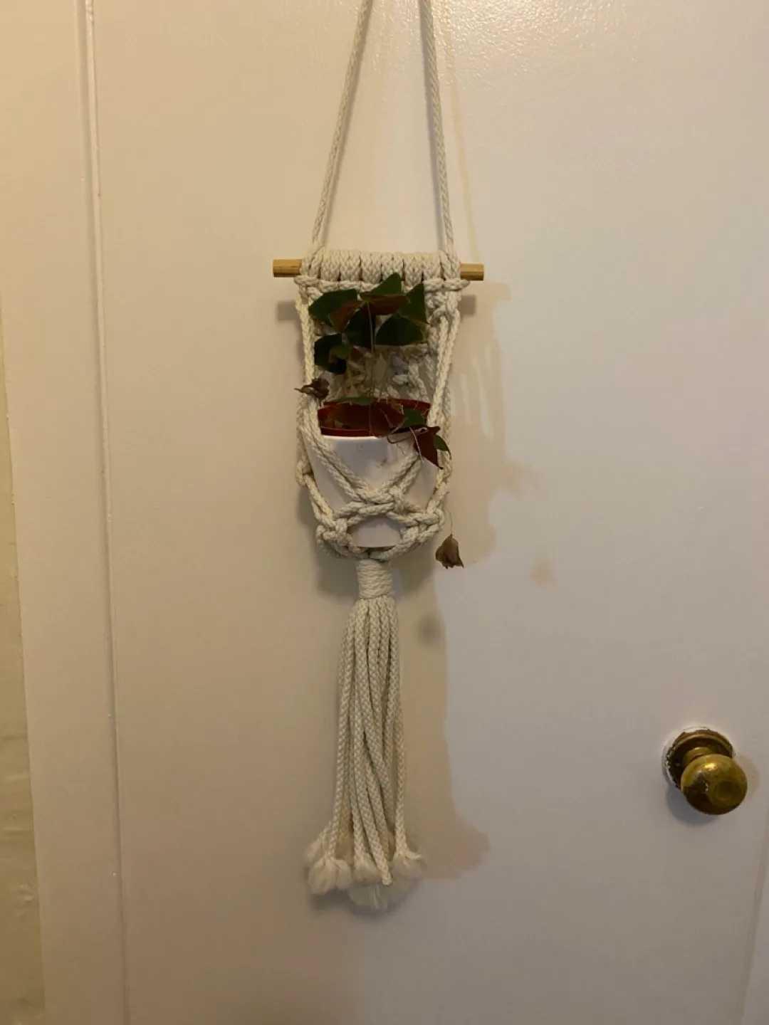 Small Macrame Wall Hanging Planter image indicator(5)