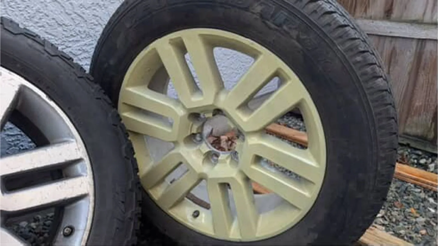 Toyota 4runner Tires & Wheels image indicator(7)