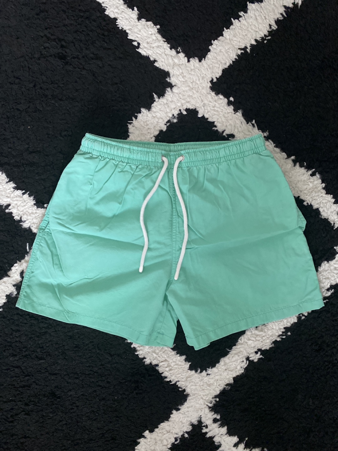 Men's Zara Mint Green Swim Trunks
