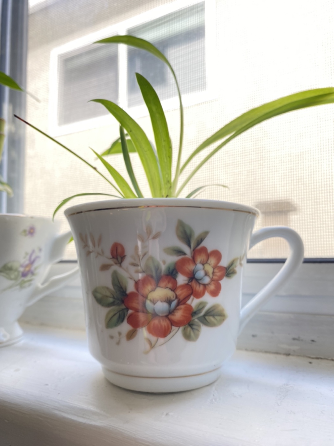 Vintage Teacups With Candles & Plant Varieties - photo 4