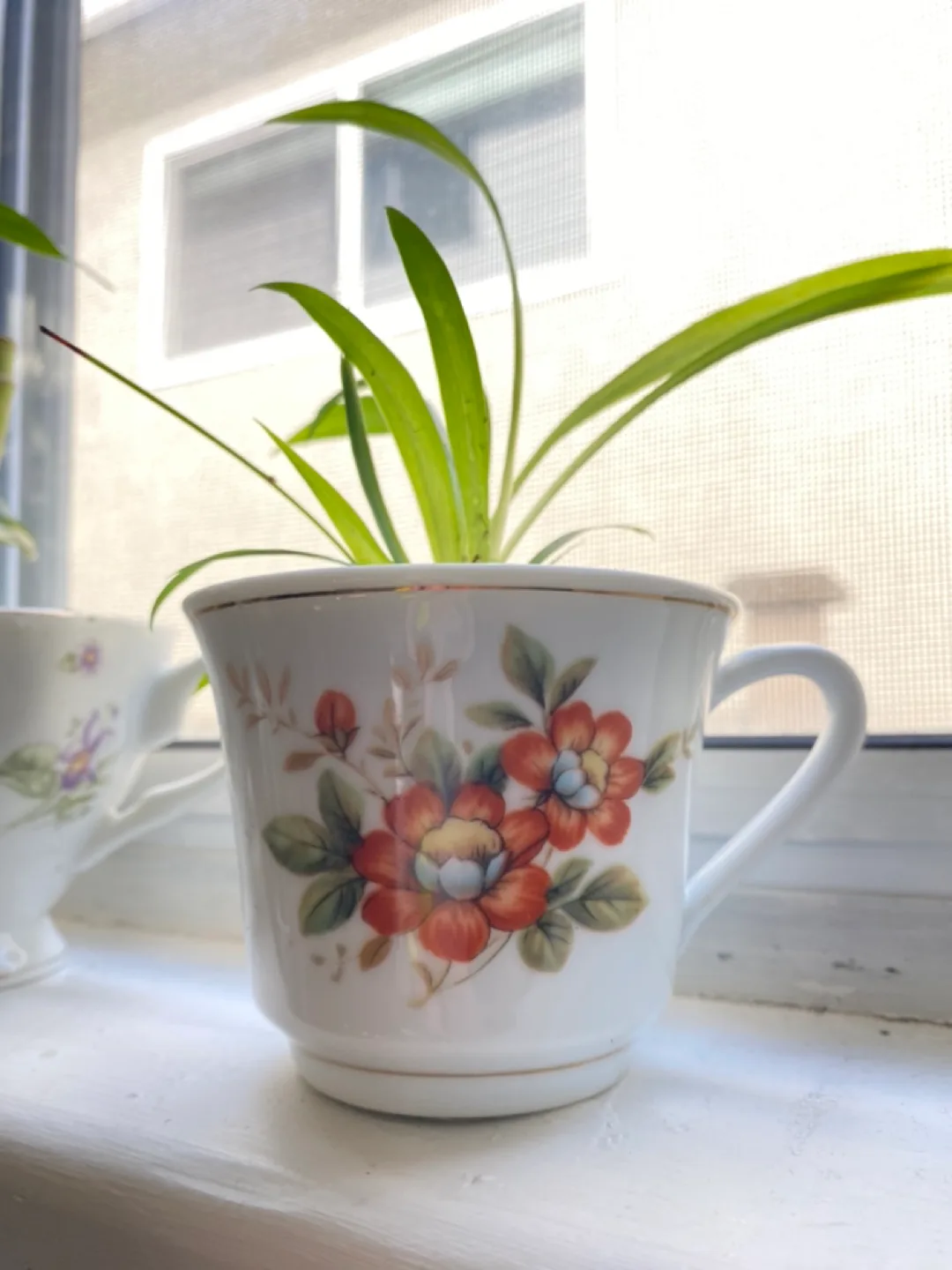 Vintage Teacups With Candles & Plant Varieties image indicator(4)