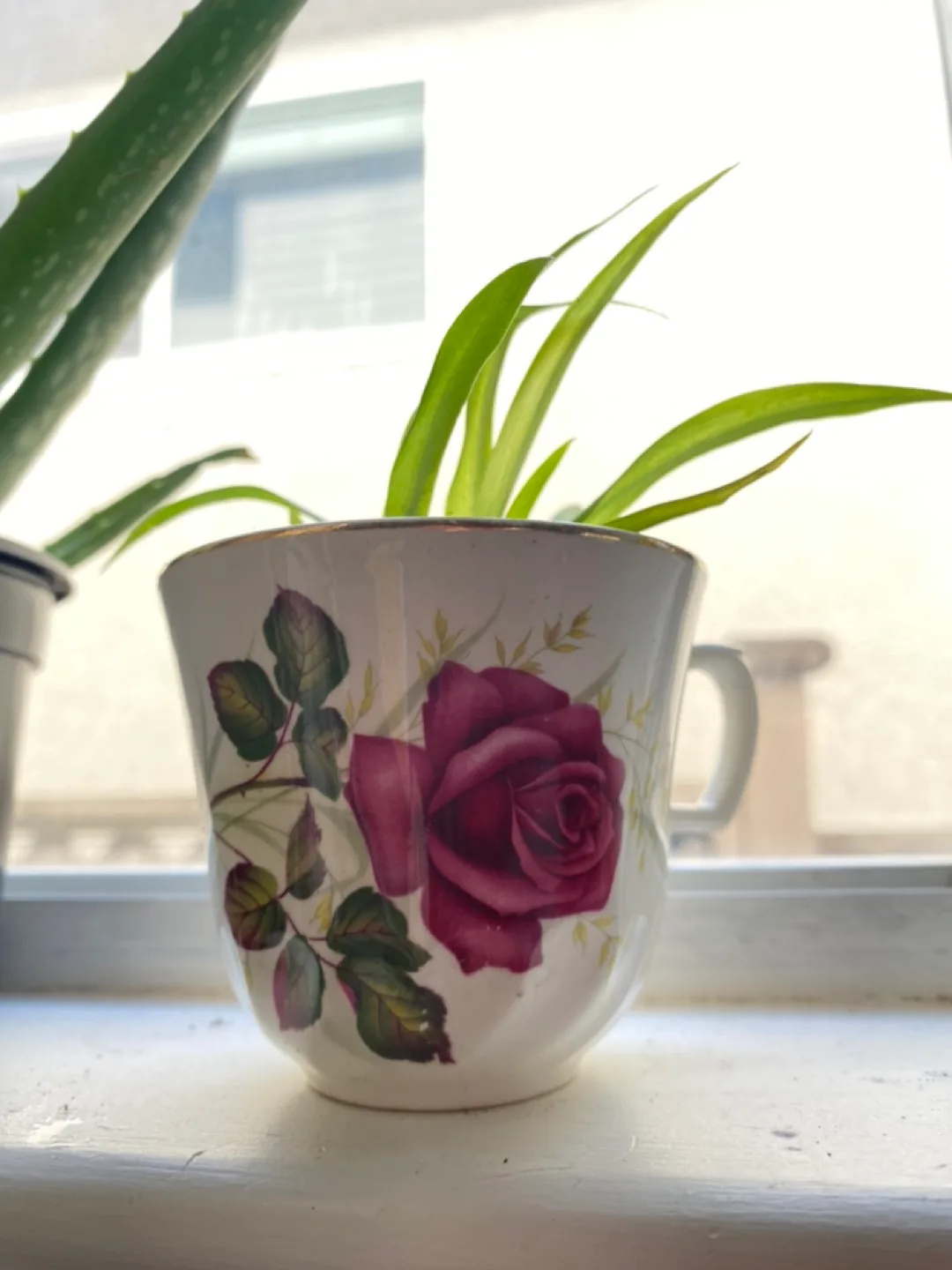 Vintage Teacups With Candles & Plant Varieties image indicator(2)