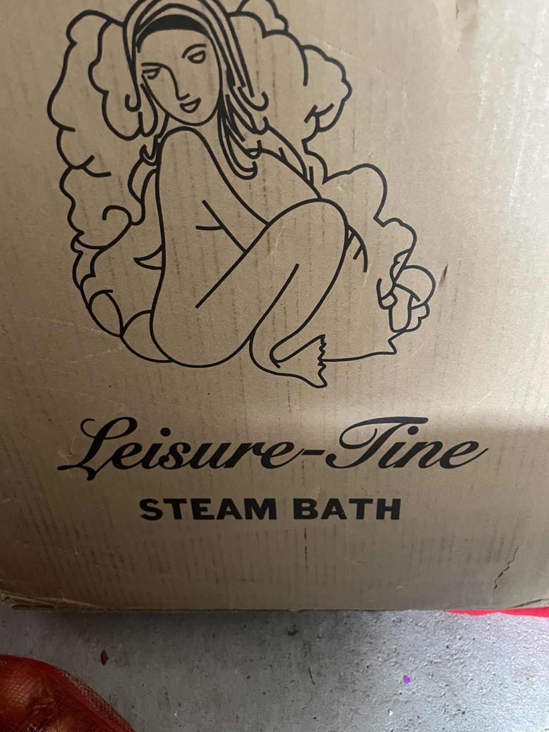 Leisure-Time Steam Bath Generator - ST-90 Model - photo 2