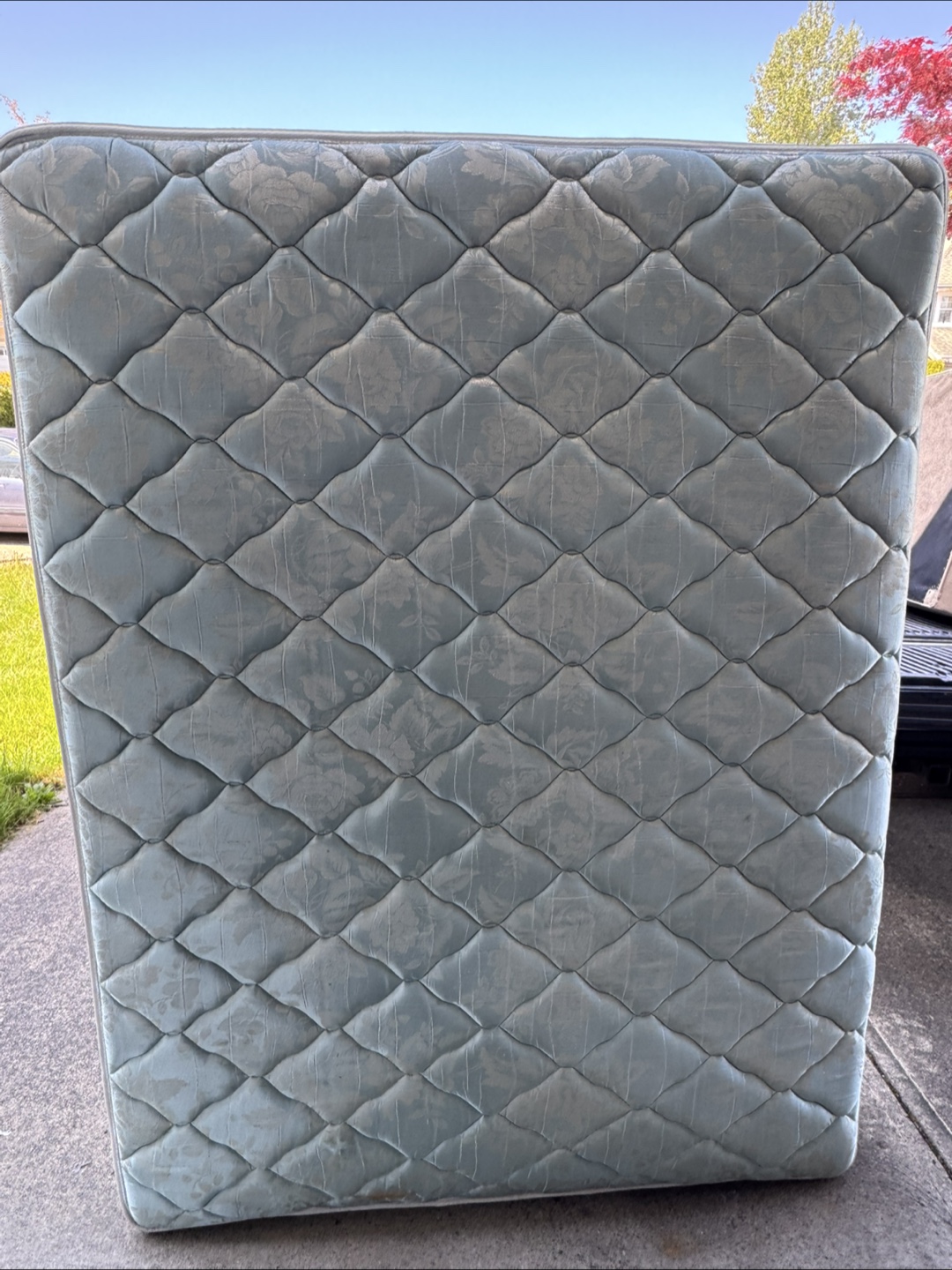 Double Mattress and Box Spring Set - photo 2