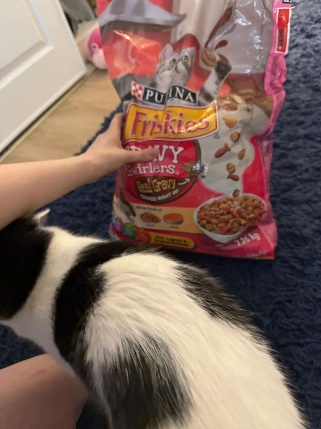 Purina Friskies Gravy Swirlers Cat Food - 7.26 kg image indicator(2)