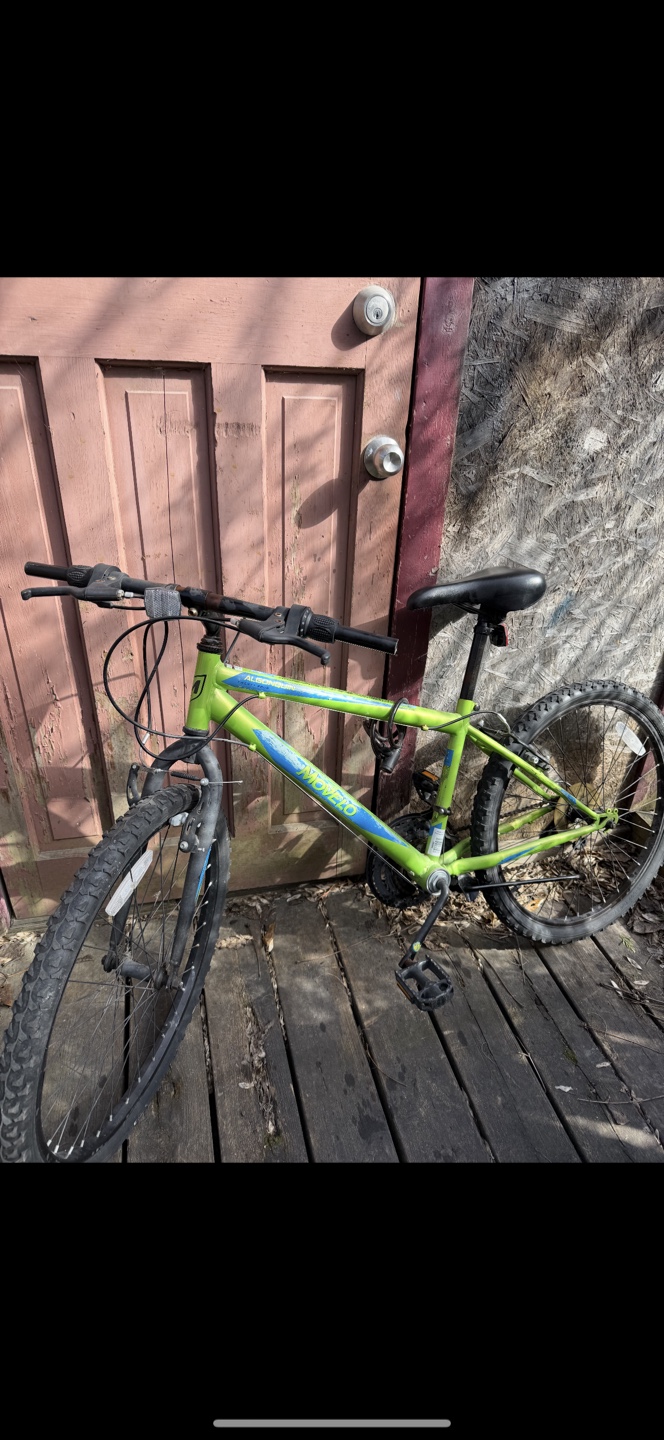 Algonquin X20 Mountain Bike